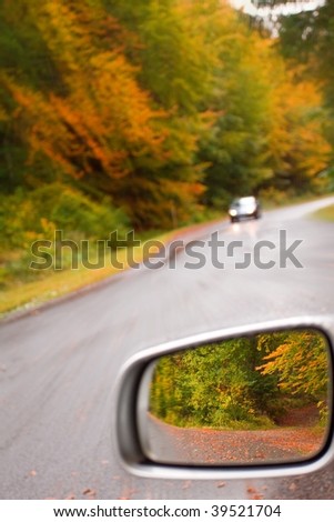 need for speed on color  autumn