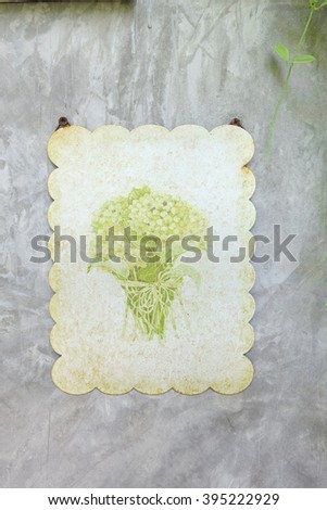 A wall decoration of Vintage Flower, Pale Color of Greenish Yellow of Hydrengea Flowers on stucco wall