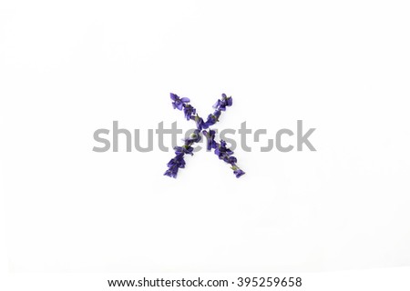 The letter "X" of violet flowers