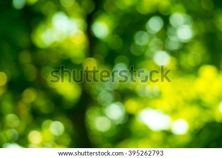 nature green background
