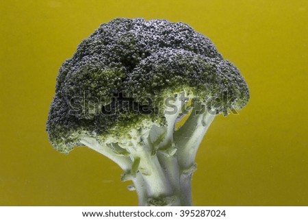 Fresh broccoli isolated on black