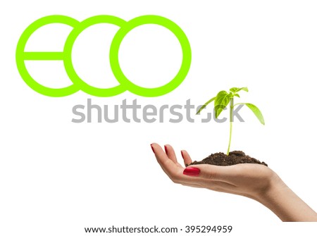 Sprout growing on the ground in womans hand and green letters isolated 