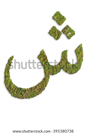 Arabic alphabet from the moss. isolated on white background.