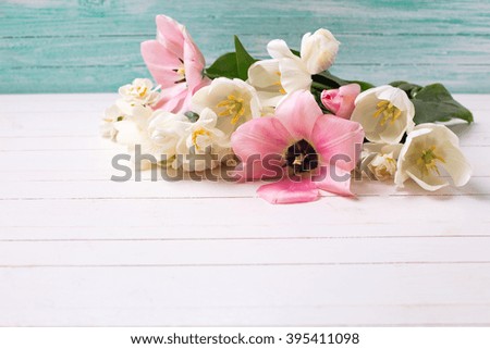 Spring white and pink  tulips and narcissus on white painted wooden background against turquoise wall. Selective focus. Place for text. 