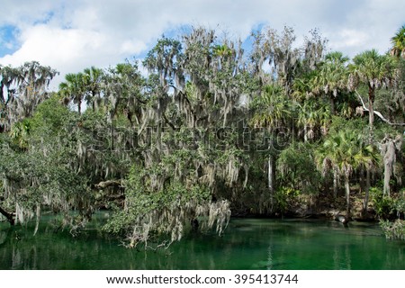 Blue Spring State Park is a state park located west of Orange City, Florida in the United States and serves as the winter home of many Florida manatees.