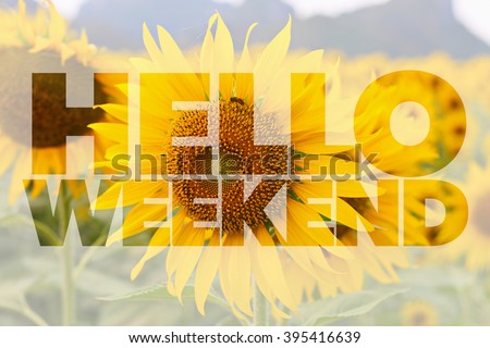 Hello Weekend word on sunflower background Royalty-Free Stock Photo #395416639
