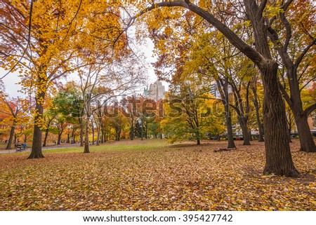 Colorful grassy knoll on a autumn day along 59th St. in famous Central Park in New York City