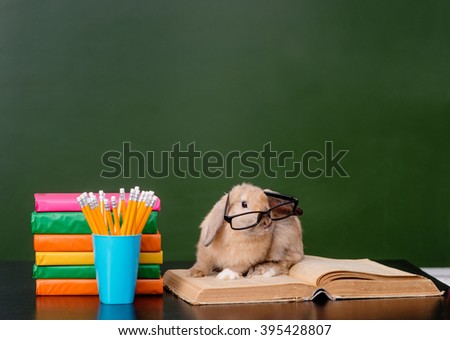 Rabbit with eyeglasses sitting on the books near empty green chalkboard