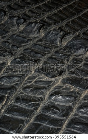 close up crocodile skin Leather pattern texture