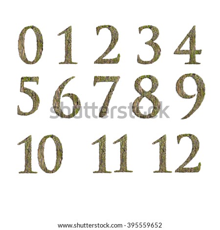Numbers from the moss. isolated on white background.