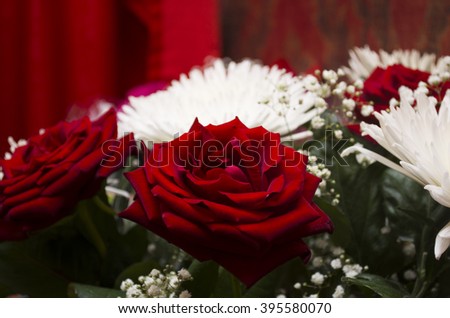 Beautiful gift bouquet of red roses and white chrysanthemums