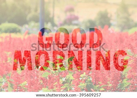 Good morning word on red flower background