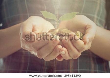 Woman hands cover growing plant money coin for saving your budget and business.