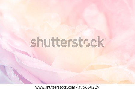 Pink roses in soft pastel color and blur style for background Royalty-Free Stock Photo #395650219