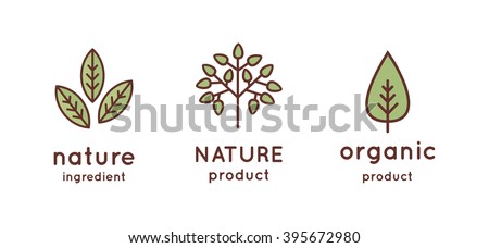 Tree, leaves, nature, organic icon and logo in vector. Linear design Royalty-Free Stock Photo #395672980