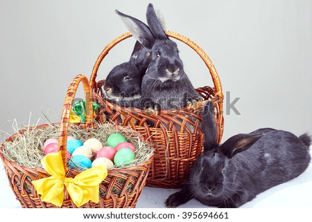 Two rabbits sitting in a basket and nearby is another black easter bunny
