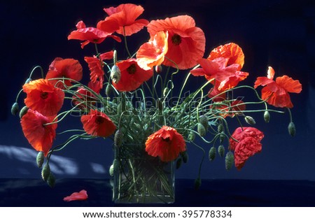 Bouquet with red poppies