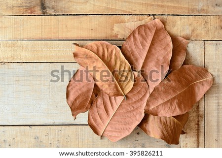 Dried leaves on wooden floor