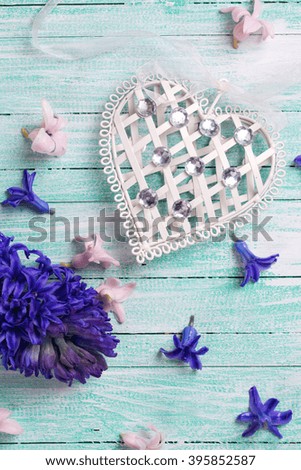 Decorative heart and fresh spring  flowers hyacinths on turquoise painted wooden planks. Selective focus. 

