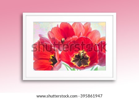Frame with beautiful spring flowers, red tulips in blossom, decoration mock up