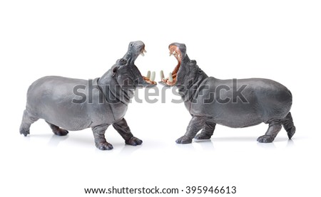 Toy hippopotamus isolated on white background