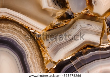 Piece of polished agate texture  horizontal texture  Royalty-Free Stock Photo #395978266