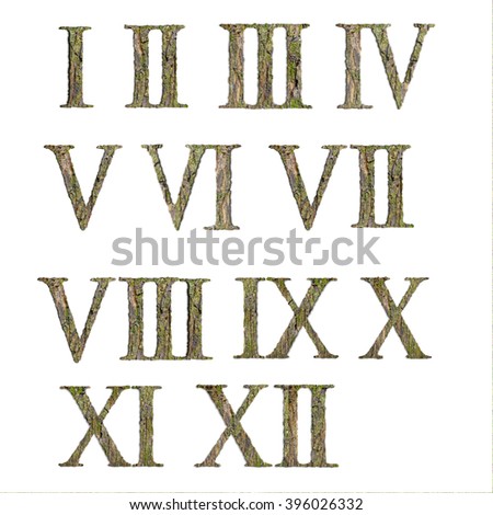 Roman numbers from the bark texture. isolated on white background. Royalty-Free Stock Photo #396026332