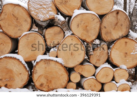 Stack of firewood. Background tree trunks - Stock Image.