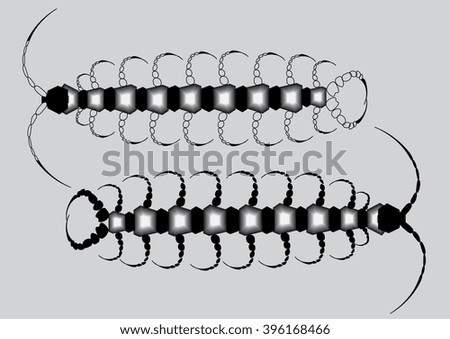 stylized centipede on a gray background in duplicate