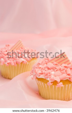 gourmet cupcakes on pink background