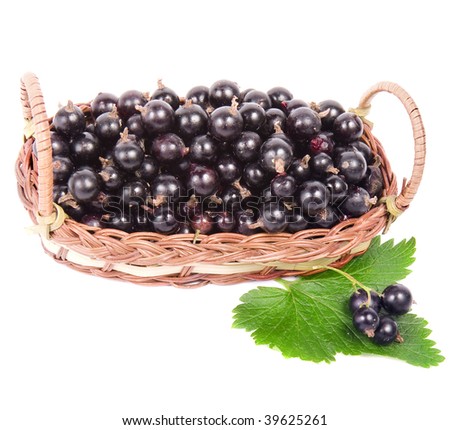 berries of black currant in a basket  isolated on a white background