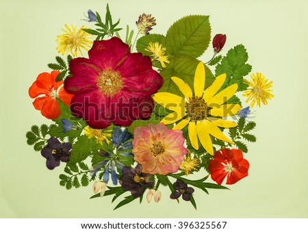 Bouquet of flowers on a light background. Pressed, dried rosehip, topinambur, geranium, violet, dandelion, clover and lupine. Picture from dry flowers. floristry, oshibana.