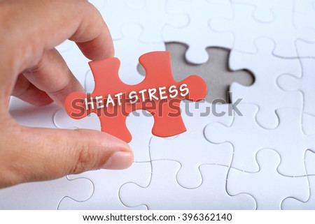Health conceptual, hand holding puzzle written HEAT STRESS