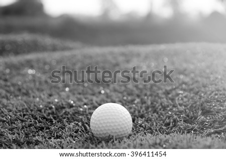 Golf ball on the green black and white color
