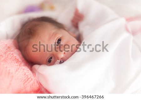 Premature newborn  baby girl in the hospital incubator after c-section in 33 week Royalty-Free Stock Photo #396467266
