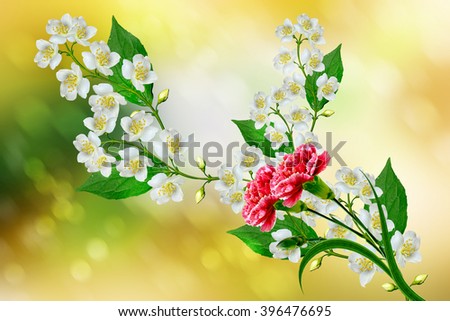 White jasmine flower. The branch delicate spring flowers. red carnation