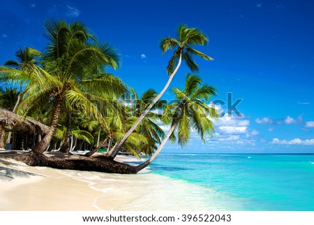 Tropical beach in caribbean sea, Saona island, Dominican Republic Royalty-Free Stock Photo #396522043