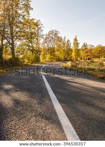 empty road in the countryside with trees in surrounding. perspective in autumn