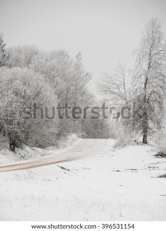 empty road in the countryside with trees in surrounding. perspective in winter