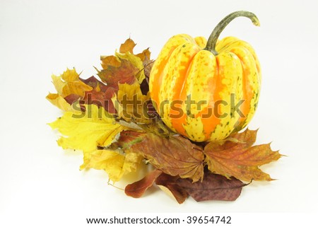 Arrangement from dry fall coloured leaves and pumpkin over white background.
