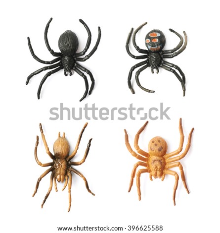 Fake rubber spider toy isolated
