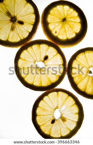 sliced lemon photo at studio 