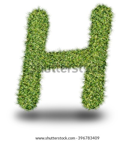 H uppercase alphabet made of grass texture, isolated on white background