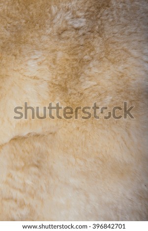 texture of white fur