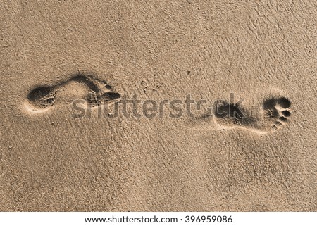Background: footprints from left to right in the wet sand. Unsaturated version.