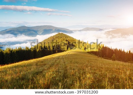 A great view of the hills glowing by sunlight at twilight. Dramatic and picturesque morning scene. Location place: Carpathian national park, Ukraine, Europe. Artistic picture. Beauty world. 