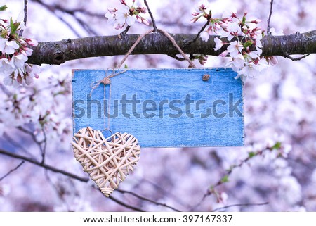 Teal blue blank wood sign and natural wicker country heart hanging from spring flowering tree branch; white blossoms blurred in background with painted wooden copy space