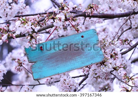 Blank teal blue sign hanging from spring flowering tree branch; white blossoms blurred in background