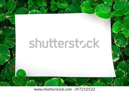 green grass background with white paper