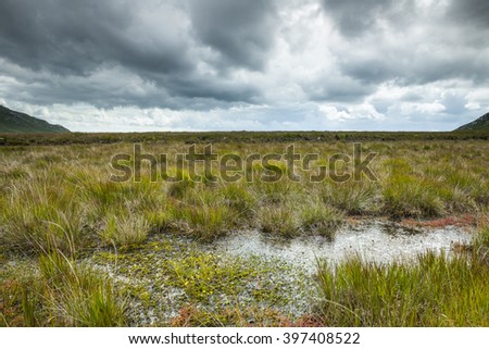 Bog lands, Connemara, Ireland